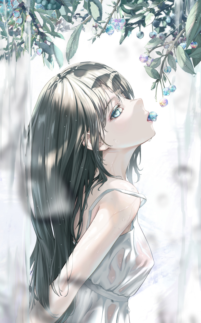 1girl absurdres bangs blue_eyes dress from_side green_hair highres long_hair looking_at_viewer original plant solo sundress sweat tooku0 wet wet_clothes white_dress