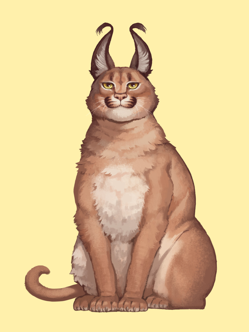 :3 animal_focus caracal full_body highres looking_at_viewer nishimawari_kouro no_humans original simple_background sitting solo yellow_background
