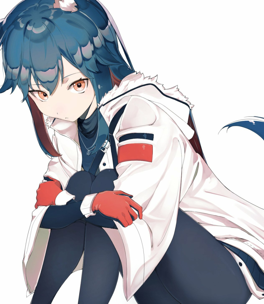 1girl animal_ears arknights bangs black_pantyhose blue_hair closed_mouth coat feet_out_of_frame fur-trimmed_coat fur_trim gloves highres jewelry knees_up long_hair long_sleeves looking_at_viewer mikeekakiaka2 multicolored_hair necklace official_alternate_costume open_clothes open_coat orange_eyes pantyhose red_gloves simple_background sitting solo tail texas_(arknights) texas_(winter_messenger)_(arknights) two-tone_hair white_background white_coat wolf_ears wolf_girl wolf_tail