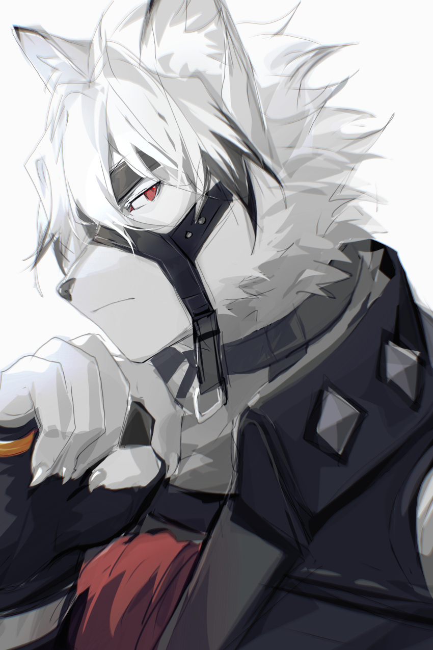 1boy absurdres animal_ears fingerless_gloves fur furry furry_male gloves grey_vest highres looking_to_the_side multicolored_hair red_eyes shabi96522 two-tone_hair upper_body vest von_lycaon white_background white_fur white_hair wolf_boy wolf_ears zenless_zone_zero