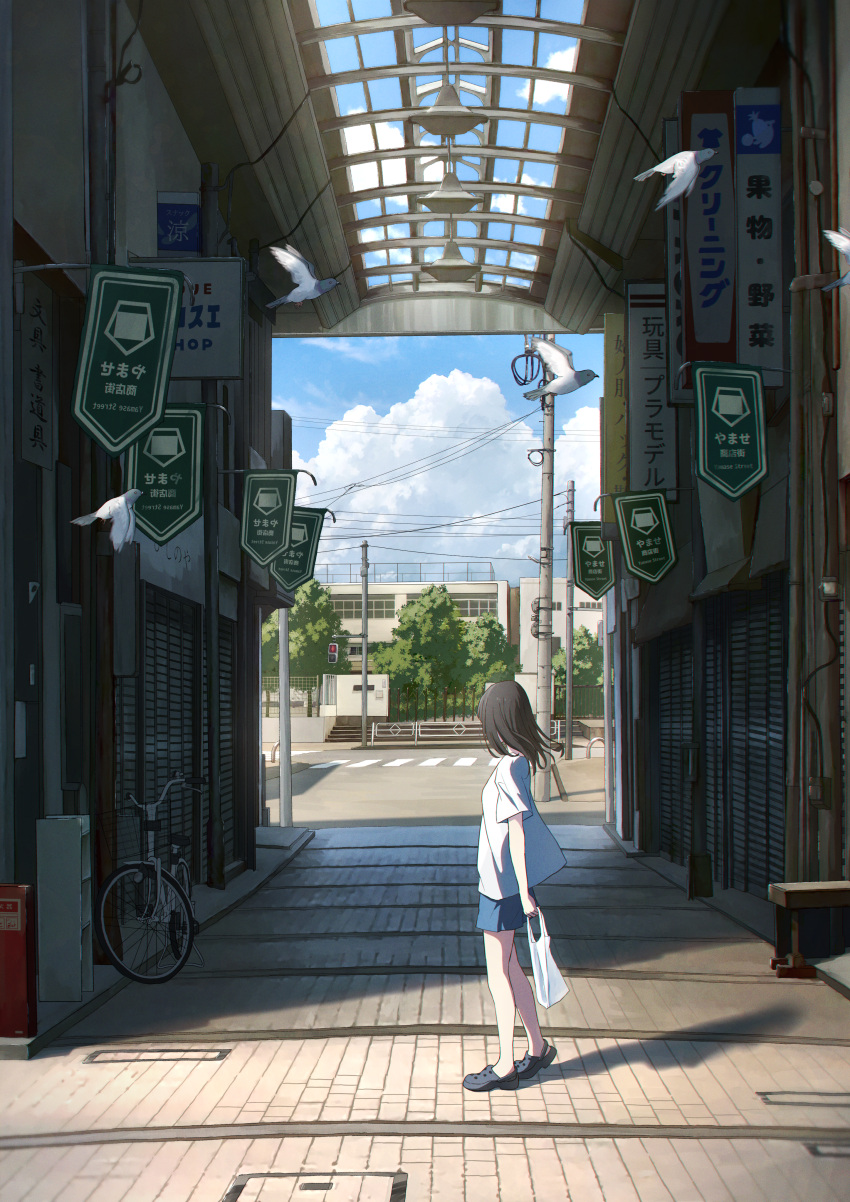 1girl absurdres anyotete bag bicycle bird black_hair blue_sky clouds commentary_request crosswalk day ground_vehicle highres holding holding_bag original outdoors pigeon plastic_bag power_lines road scenery shadow short_hair sky solo summer utility_pole