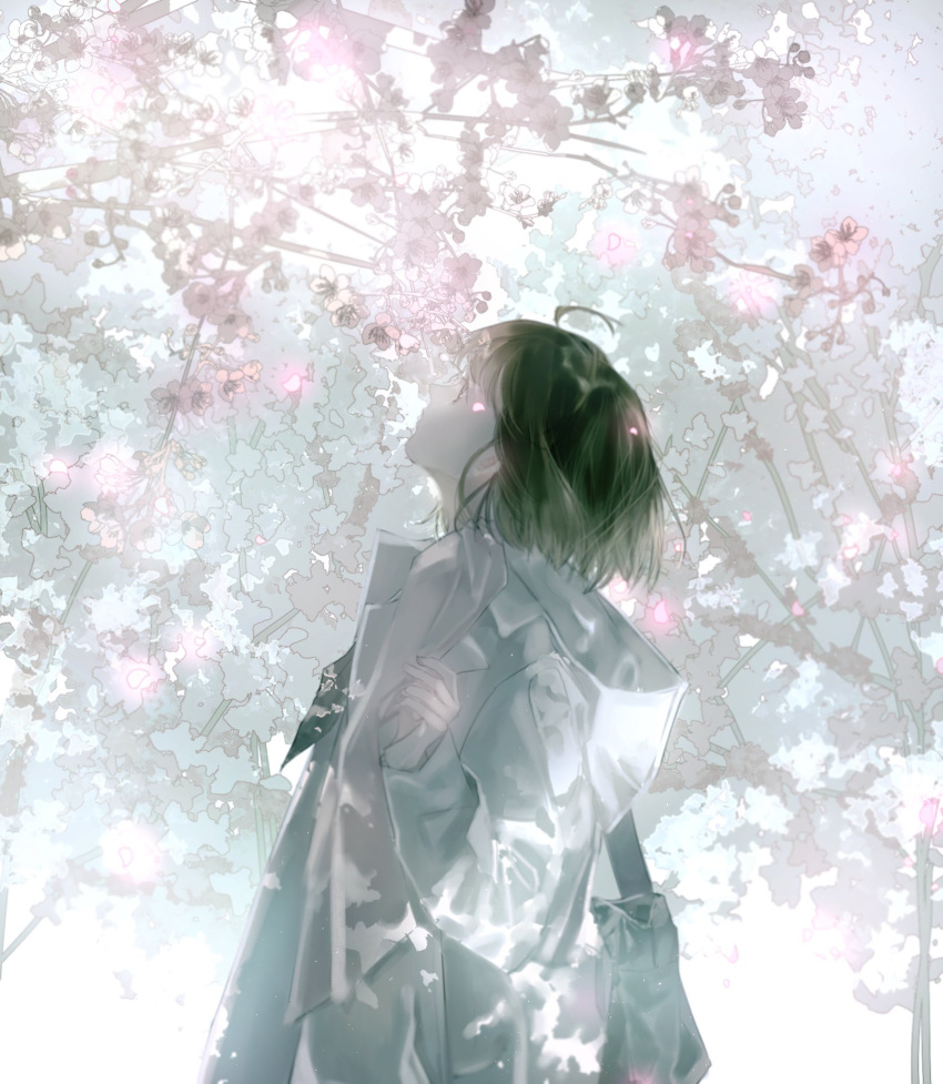 1girl ahoge bangs black_bag branch brown_eyes brown_hair cherry_blossoms closed_mouth coat day expressionless highres light_particles long_sleeves looking_up lvl229 original outdoors pink_shirt shirt short_hair solo standing strap sunlight tree upper_body white_coat white_sky