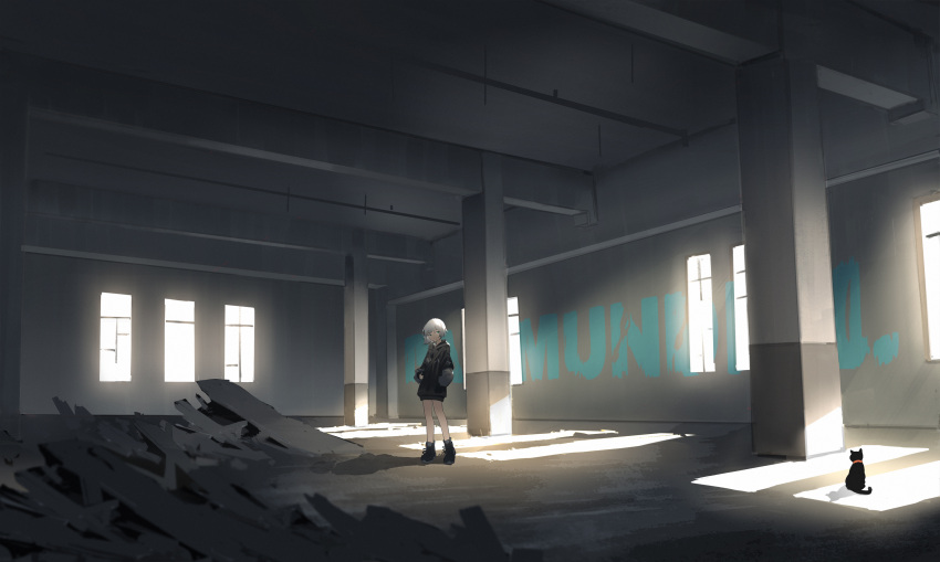 1girl abandoned animal bangs cat graffiti green_eyes highres hood hoodie laluna looking_to_the_side original ruins scenery shoes short_hair smile sneakers socks solo sunlight white_hair window