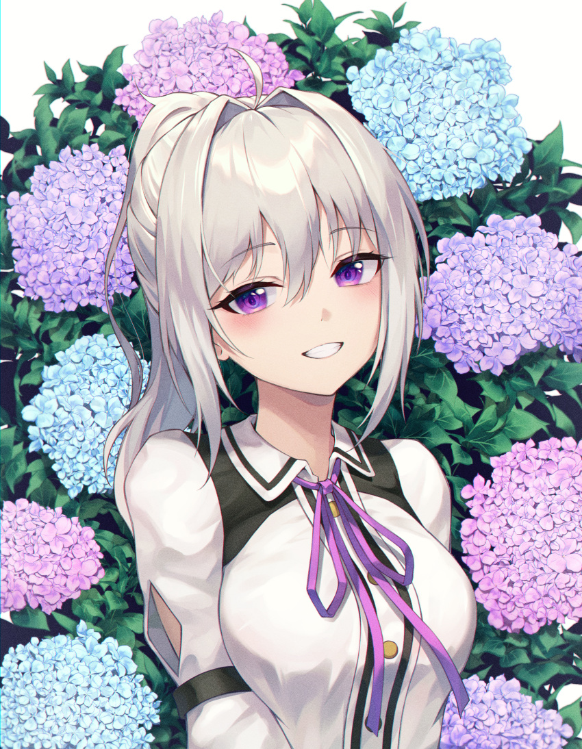 1girl absurdres ahoge bangs blue_flower breasts buttons clothing_cutout collared_shirt commentary flower grey_hair grin hair_between_eyes hair_intakes head_tilt highres hydrangea ine_(vtuber) leaf long_hair long_sleeves looking_at_viewer neck_ribbon pink_flower ponytail purple_flower purple_ribbon ribbon sarika shiny shiny_hair shirt sidelocks small_breasts smile solo upper_body violet_eyes virtual_youtuber waktaverse white_background white_shirt