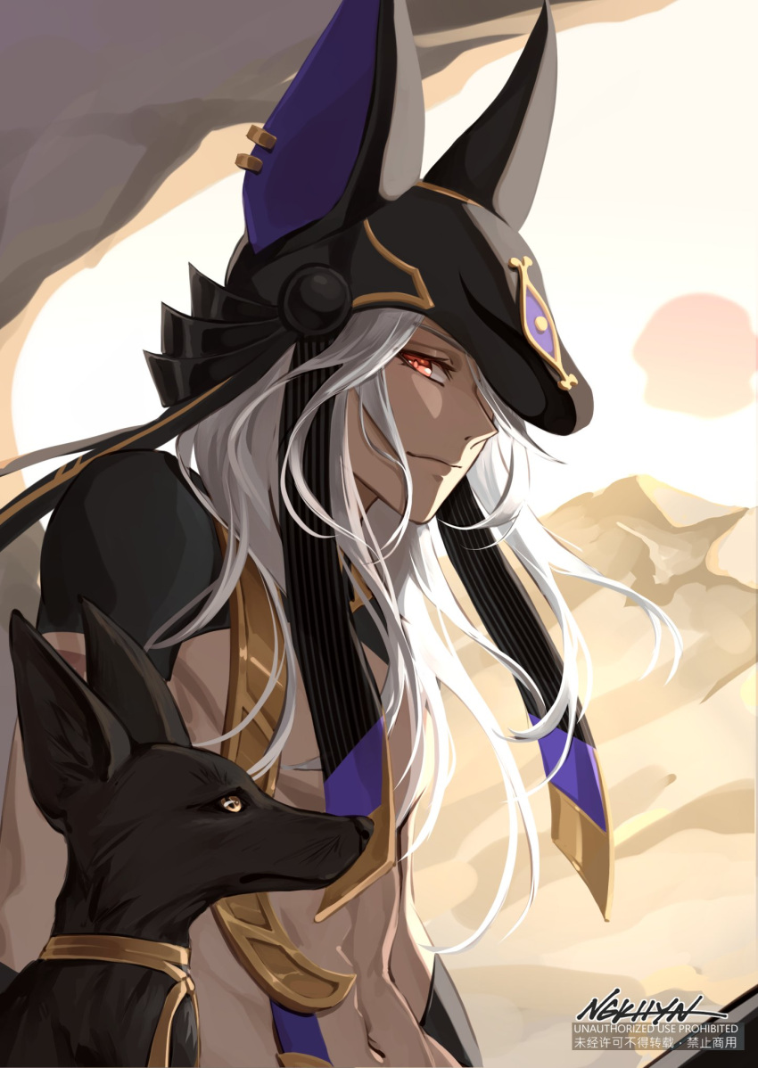1boy abs animal animal_ears animal_hat arabian_clothes bangs black_headwear black_ribbon closed_mouth commentary cyno_(genshin_impact) dark-skinned_male dark_skin day desert earrings eyelashes genshin_impact hair_over_one_eye hat highres jackal jackal_ears jewelry long_hair looking_at_viewer male_focus navel ngkhyn one_eye_covered outdoors parted_bangs red_eyes ribbon sidelocks smile solo stomach sun swept_bangs upper_body white_hair