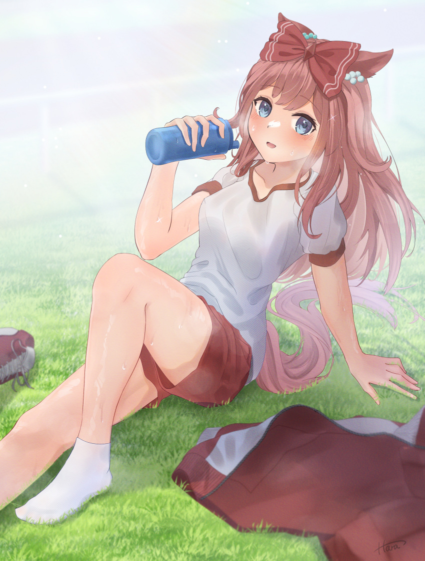 absurdres agnes_digital_(umamusume) animal_ears bangs blue_eyes blush bottle breath collarbone gym_uniform hair_ribbon hand_on_ground hara945 highres holding holding_bottle horse_girl jacket jacket_removed looking_at_viewer on_grass outdoors parted_lips pink_hair ribbon shiny shiny_skin shoes shoes_removed shorts sitting socks sweat sweaty_clothes umamusume water_bottle wet