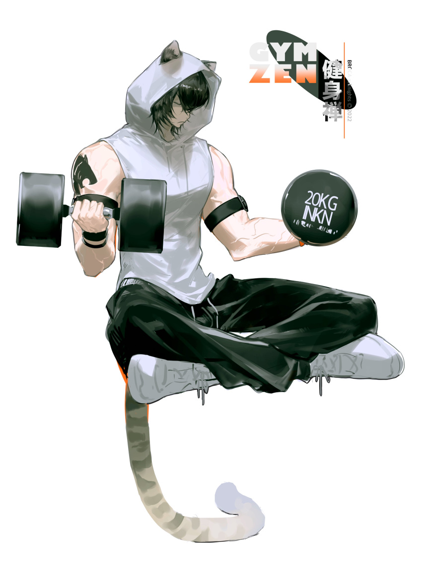 1boy absurdres animal_ears arknights bishounen black_hair broca_(arknights) crossed_legs dumbbell floating full_body highres hood hoodie kou_zhua male_focus muscular muscular_male shoes short_hair sitting solo tail tattoo toned toned_male weights wolf_boy wolf_ears wolf_tail