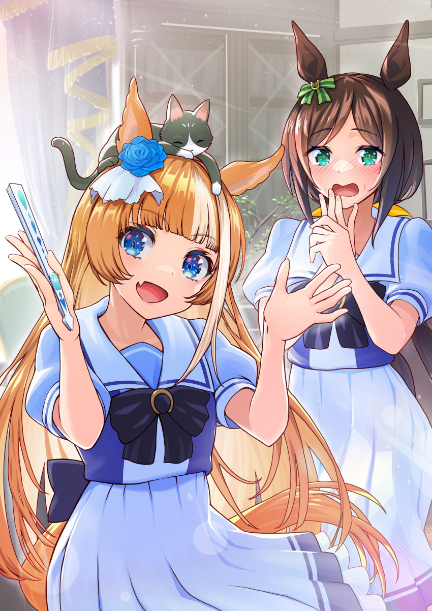 2girls :d :o akikawa_yayoi_(umamusume) animal_ears animal_on_head bangs blonde_hair blue_eyes blue_flower blue_rose blunt_bangs blush bow bowtie brown_hair cat cat_on_head fang flower folding_fan green_eyes hair_flower hair_ornament hand_fan hayakawa_tazuna highres horse_ears horse_girl horse_tail indoors long_hair looking_at_viewer making-of_available multicolored_hair multiple_girls nabe_saori nose_blush on_head pleated_skirt rose sailor_collar school_uniform skin_fang skirt smile streaked_hair summer_uniform swept_bangs tail tracen_school_uniform umamusume white_hair white_skirt