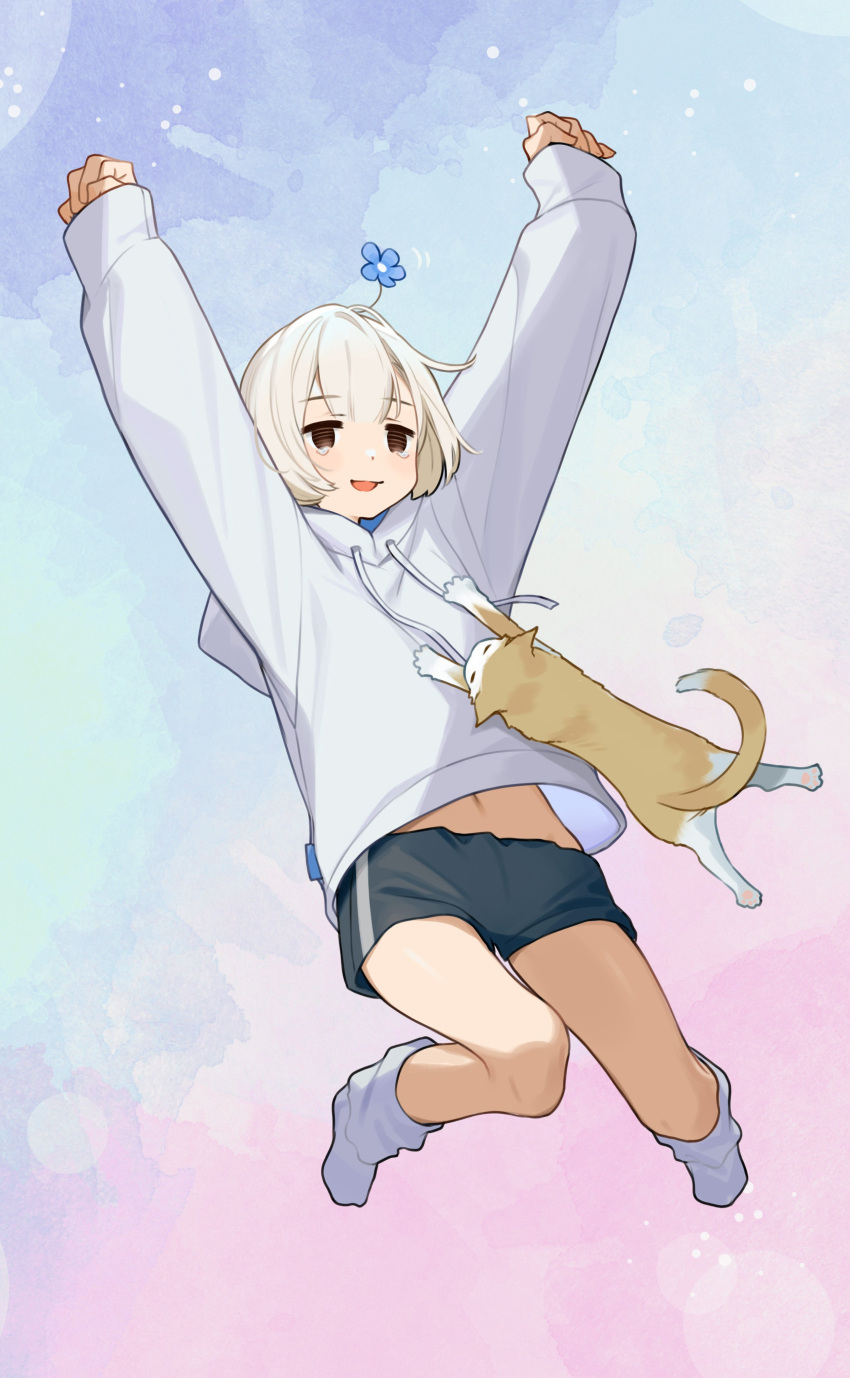 1girl absurdres arms_up bangs black_shorts brown_eyes cat flower flower_on_head full_body highres hood hood_down hoodie jumping long_sleeves looking_at_viewer loose_socks navel no_shoes open_mouth original short_hair short_shorts shorts sleeves_past_wrists solo tearing_up white_hair white_hoodie yuu_(higashi_no_penguin)