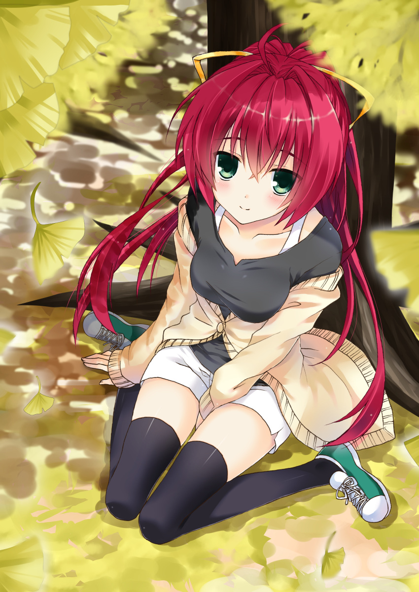 1girl absurdres black_shirt black_thighhighs cardigan commentary_request from_above ginkgo_leaf green_eyes green_footwear hair_ribbon highres leaf long_hair looking_at_viewer original partial_commentary ponytail redhead ribbon shirt shoes shorts sitting smile sneakers solo thigh-highs wariza white_shorts yellow_ribbon yukinoko_(yukinokokonoha)