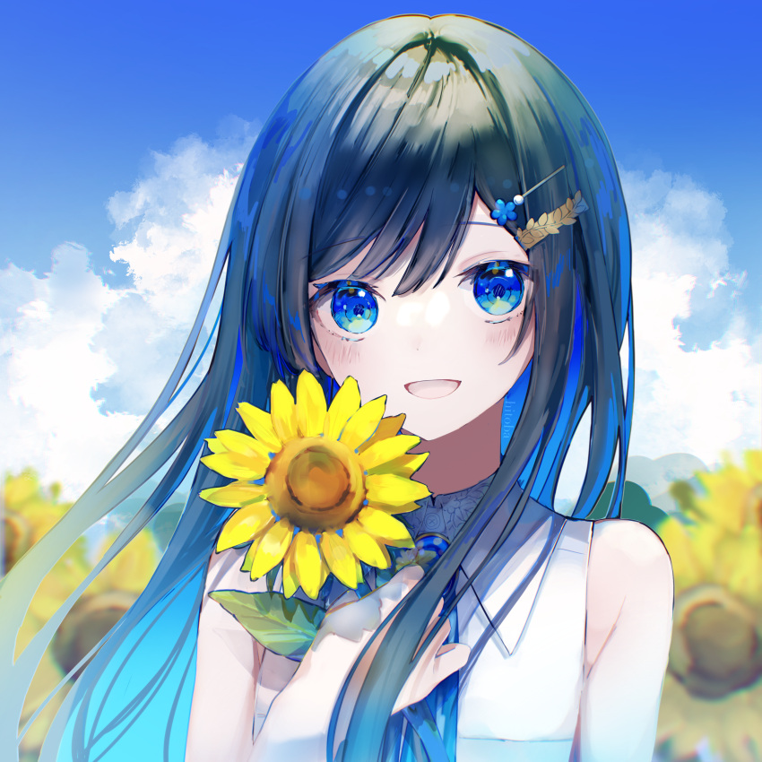 1girl absurdres bangs blue_eyes blue_flower blue_hair blue_sky blush cevio clouds flower hair_between_eyes hair_flower hair_ornament hairclip hi_to_ba highres holding holding_flower long_hair looking_at_viewer open_mouth shirt sky sleeveless sleeveless_shirt solo sunflower white_shirt yellow_flower