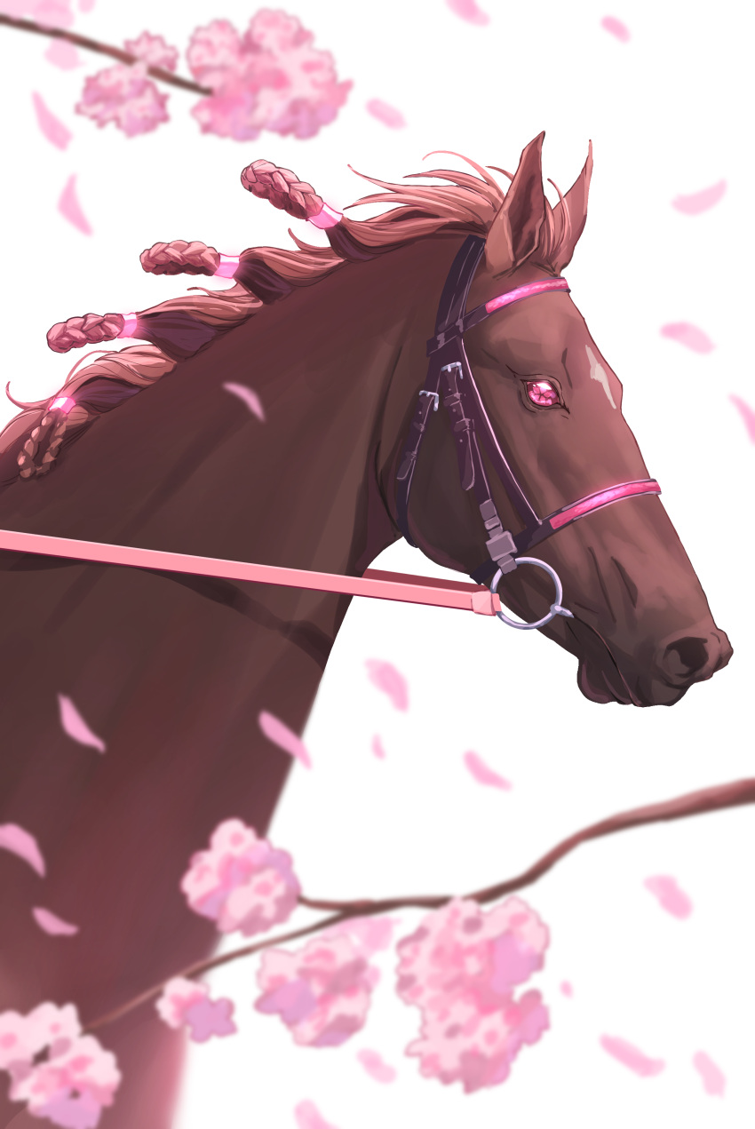absurdres branch cherry_blossoms commentary flower_in_eye highres horse nayuta_ggg no_humans petals real_life sakura_laurel_(racehorse) symbol_in_eye tagme