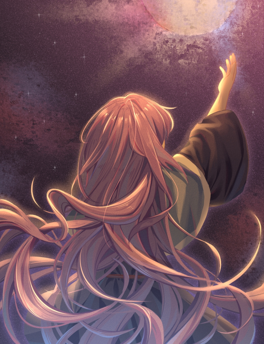 1other androgynous capelet clause from_behind highres jian_xing_zao len'en long_hair night night_sky outstretched_arm purple_hair sky solo wide_sleeves