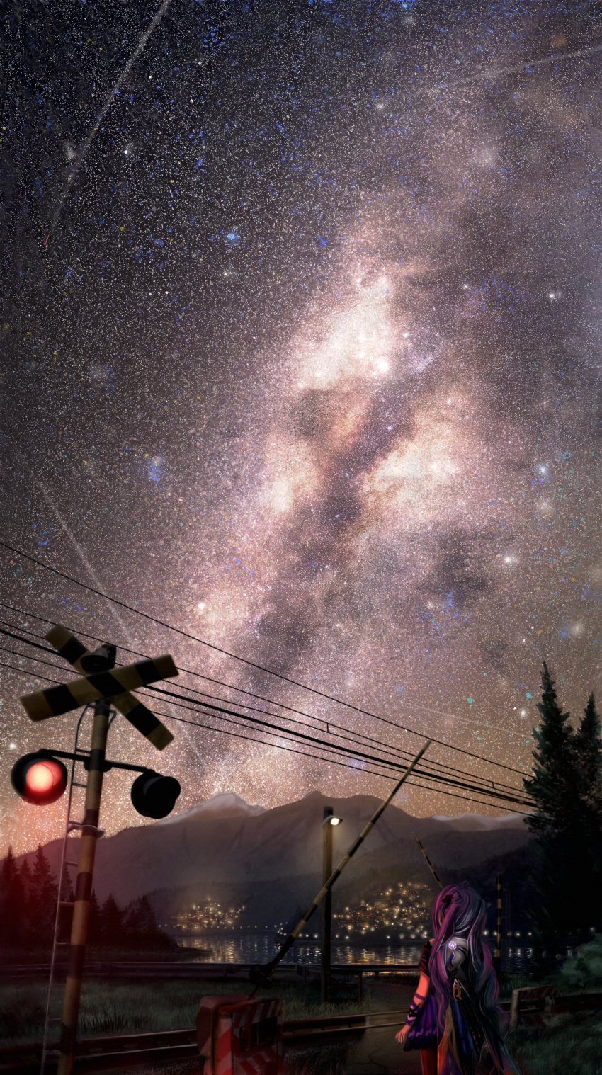 1girl absurdres commentary cone_hair_bun double_bun english_commentary from_behind genshin_impact grass hair_bun highres keqing_(genshin_impact) lit_for_20 long_hair milky_way mountain night outdoors power_lines purple_hair railroad_crossing railroad_tracks scenery sky solo star_(sky) starry_sky tree