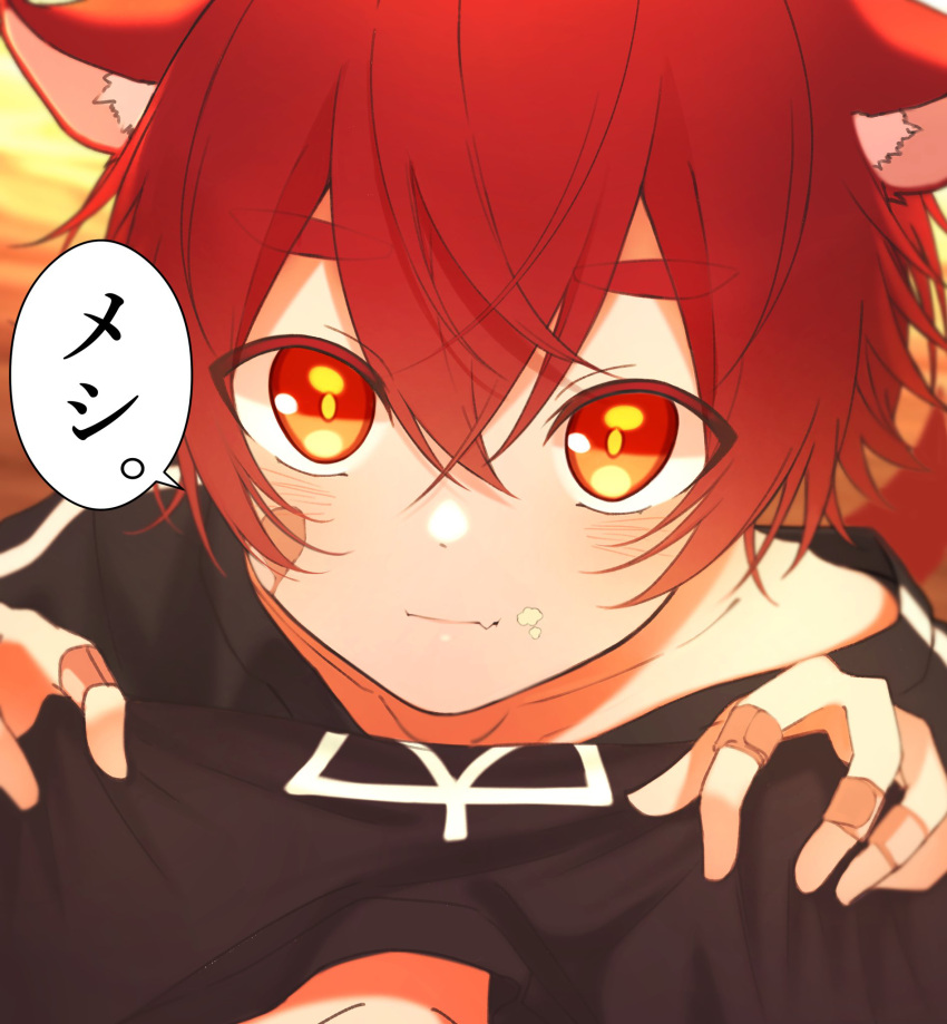 1boy :3 animal_ears bandaid bandaid_on_hand black_shirt blush child closed_mouth food food_on_face highres looking_at_viewer looking_up male_child male_focus original pov redhead shirt short_hair short_sleeves solo tatsu_wan thick_eyebrows translation_request wolf_boy wolf_ears