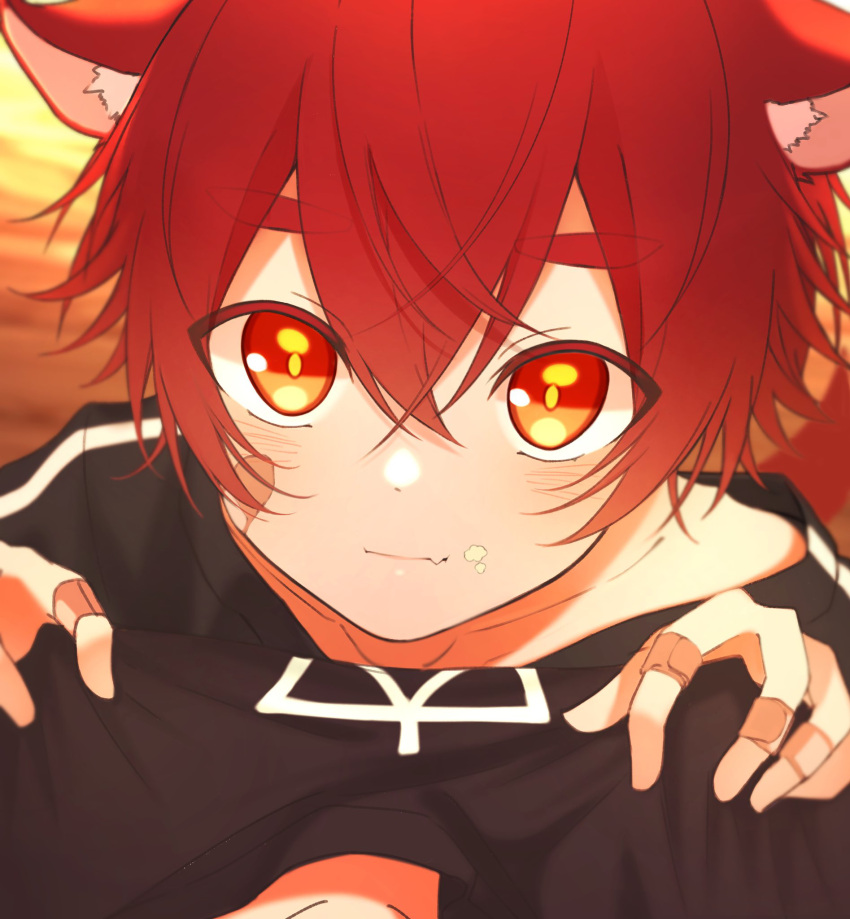 1boy :3 animal_ears bandaid bandaid_on_hand black_shirt blush child closed_mouth food food_on_face highres looking_at_viewer looking_up male_child male_focus original pov redhead shirt short_hair short_sleeves solo tatsu_wan thick_eyebrows wolf_boy wolf_ears