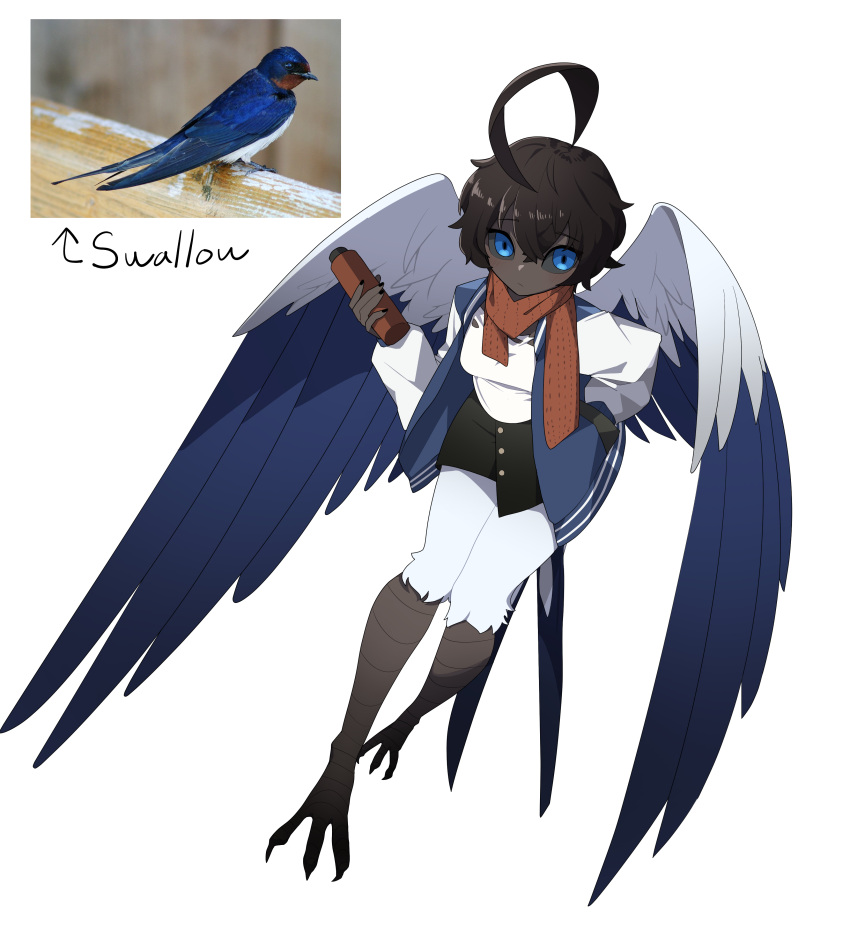 1girl absurdres ahoge bangs bird_legs bird_tail bird_wings black_hair black_sclera black_skirt blue_eyes blue_feathers blue_jacket colored_sclera dark-skinned_female dark_skin feathered_wings feathers gomulgong hair_between_eyes hand_in_pocket harpy highres holding huge_ahoge jacket letterman_jacket monster_girl orange_scarf original personification reference_inset scarf shirt short_hair simple_background skirt solo tail tail_feathers talons white_background white_feathers white_shirt wings