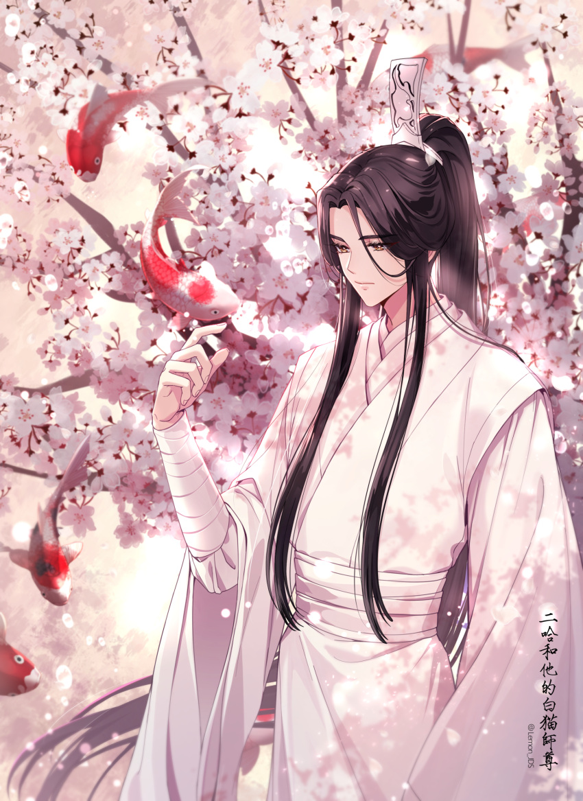 1boy absurdres artist_name bandaged_arm bandages bangs bishounen black_hair branch brown_eyes cherry_blossoms chinese_clothes chu_wanning closed_mouth commentary_request copyright_name expressionless eyelashes fish floating_hair flower hair_ornament hand_up hanfu high_ponytail highres husky_and_his_white_cat_shizun koi lem_tea long_hair long_sleeves looking_away male_focus parted_bangs petals ponytail robe sidelocks solo standing very_long_hair white_robe wide_sleeves