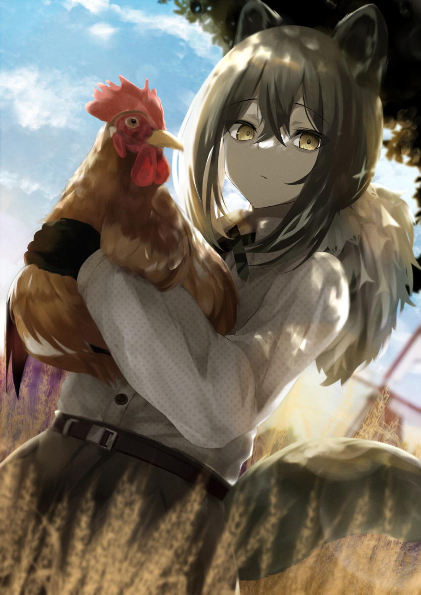 1girl absurdres animal animal_ears arknights bangs bird black_gloves black_hair black_pants blue_sky blurry blurry_background brown_eyes chicken clouds commentary_request commission day depth_of_field gloves hair_between_eyes highres holding holding_animal long_hair long_sleeves looking_at_viewer outdoors pants puffy_long_sleeves puffy_sleeves robin_(arknights) shirt skeb_commission sky solo tail urabesunahito white_shirt