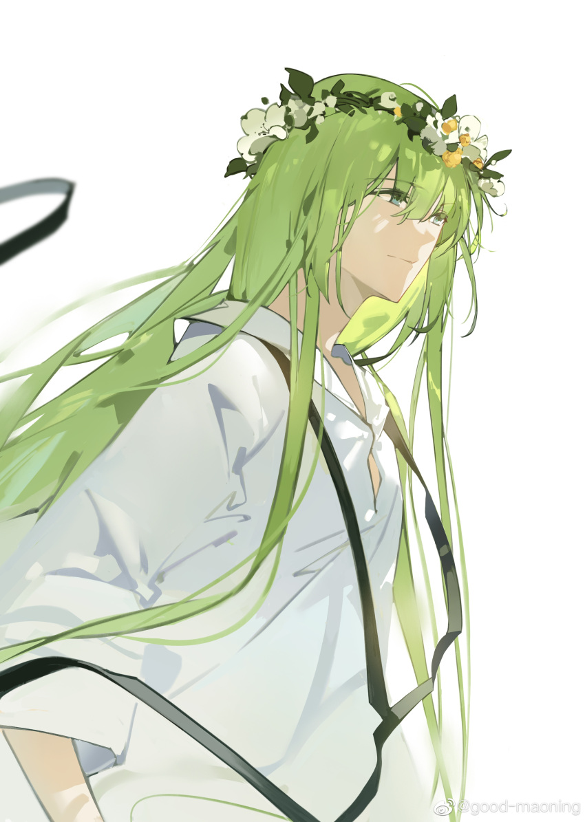 1other absurdres ambiguous_gender androgynous bangs closed_mouth enkidu_(fate) fate/extra fate/extra_ccc fate/grand_order fate/strange_fake fate/zero fate_(series) flower green_eyes green_hair hair_flower hair_ornament head_wreath highres long_hair long_sleeves looking_away robe sad simple_background solo upper_body very_long_hair white_background white_flower white_robe wide_sleeves zhizhicyzey