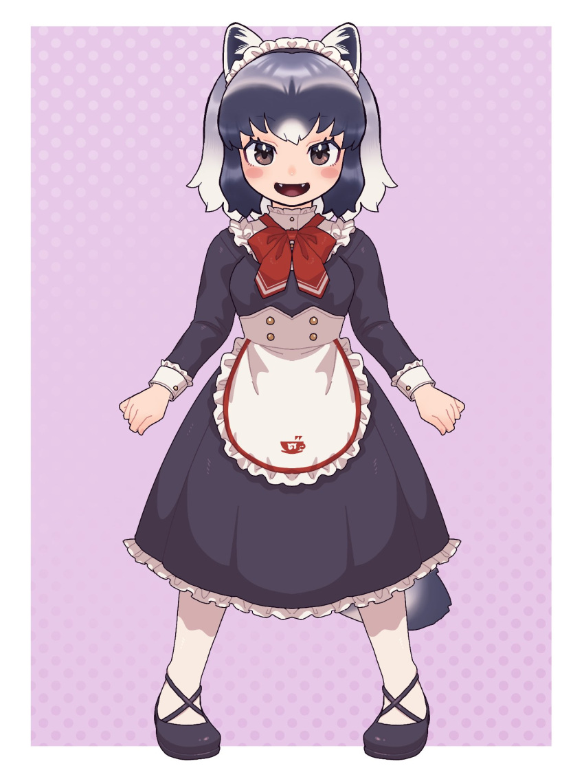 1girl alternate_costume an-chan_(ananna0315) animal_ears apron black_dress black_footwear blush bow bowtie brown_eyes collar commentary common_raccoon_(kemono_friends) dress enmaided fangs frilled_apron frilled_collar frilled_cuffs frilled_dress frills full_body grey_hair high_collar highres japari_symbol kemono_friends kemono_friends_3 long_sleeves looking_at_viewer maid maid_headdress multicolored_hair official_alternate_costume open_mouth pantyhose raccoon_ears raccoon_girl raccoon_tail red_bow red_bowtie short_hair sleeve_cuffs solo symbol-only_commentary tail white_apron white_hair white_pantyhose