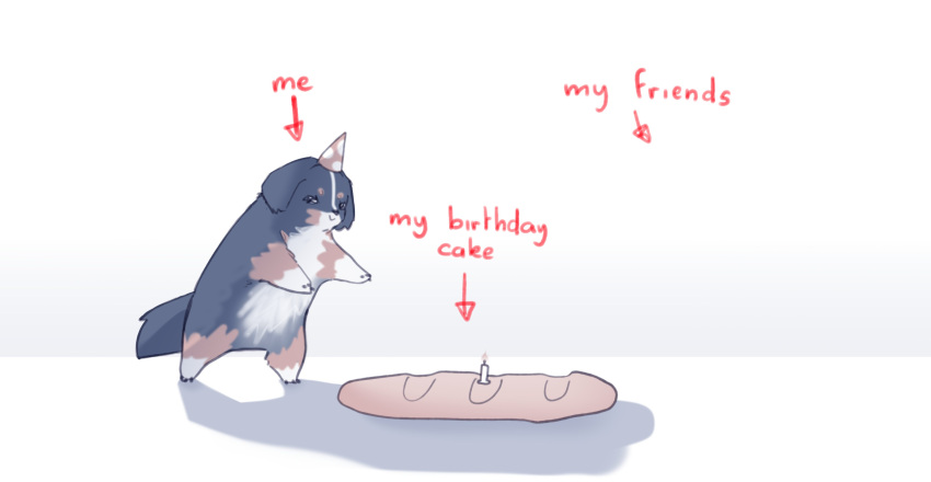 absurdres animal baguette bernese_mountain_dog birthday blind_girl's_dog_(popopoka) bread candle dog english_text food hat highres lonely no_humans original party_hat popopoka smile solo