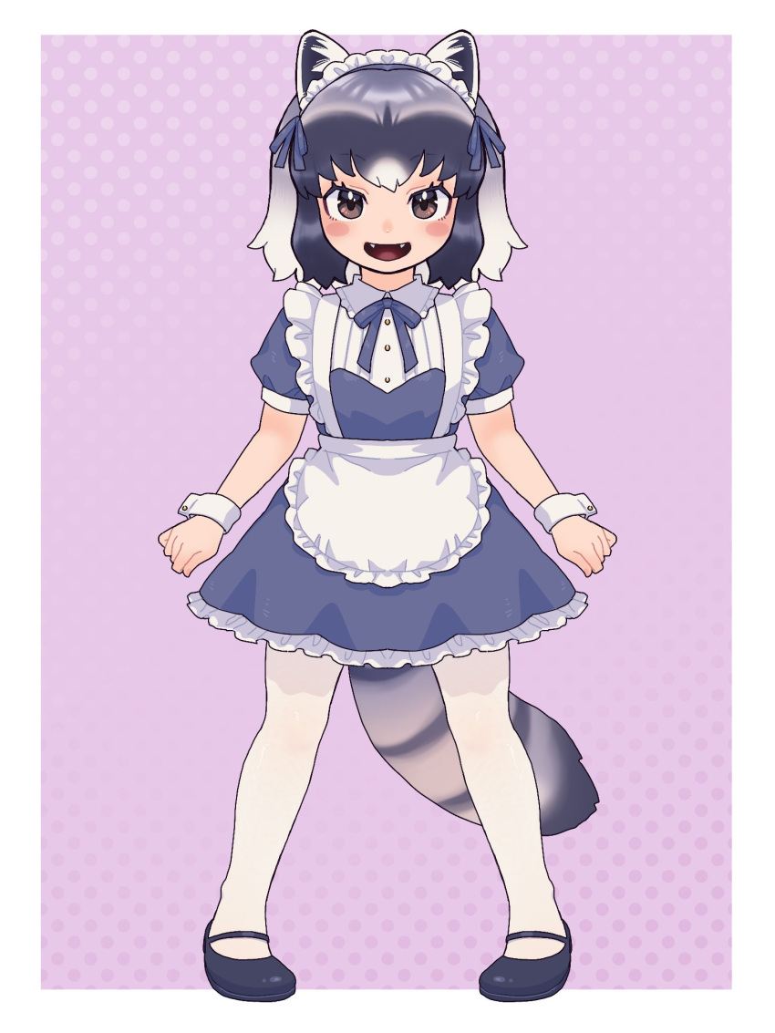 1girl alternate_costume an-chan_(ananna0315) animal_ears apron black_footwear blue_bow blue_bowtie blue_dress blush bow bowtie brown_eyes collar collared_dress commentary common_raccoon_(kemono_friends) dress enmaided fangs frilled_apron frilled_collar frilled_dress frills full_body grey_hair hair_bow highres kemono_friends looking_at_viewer maid maid_headdress mary_janes multicolored_hair open_mouth puffy_short_sleeves puffy_sleeves raccoon_ears raccoon_girl raccoon_tail shoes short_dress short_hair short_sleeves solo suspenders symbol-only_commentary tail white_apron white_hair wrist_cuffs