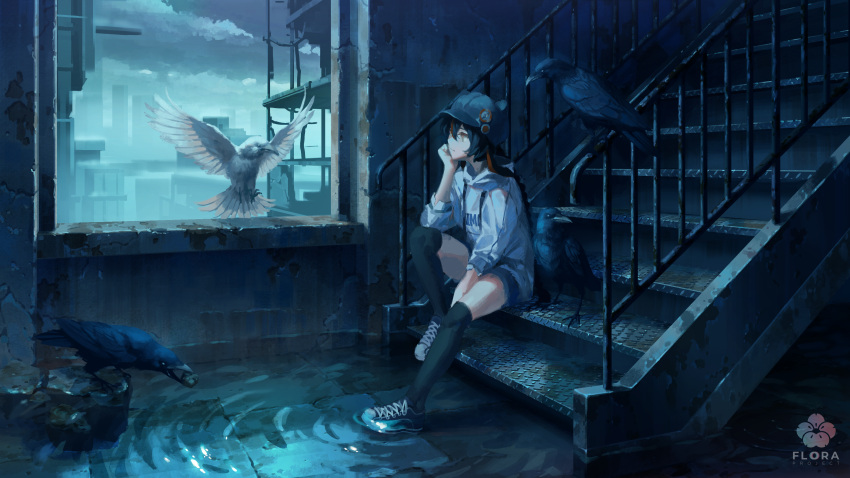 1girl absurdres bird black_hair character_request clouds cracked_wall crow feathers flood flying_animal hand_on_own_chin hat highres hood hoodie indoors looking_at_animal looking_at_another moss railing ripples ruins rust shijohane shoes shorts sitting skyline sneakers solo thigh-highs vocaloid wading water watermark window