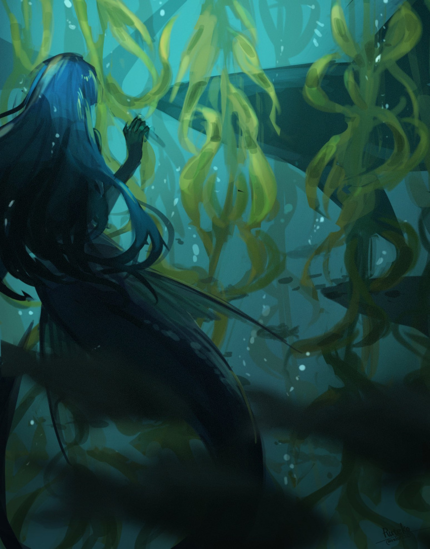 1girl air_bubble algae blue_hair bubble from_behind highres long_hair mermaid monster_girl original ruteko_(ruko220) shark solo underwater