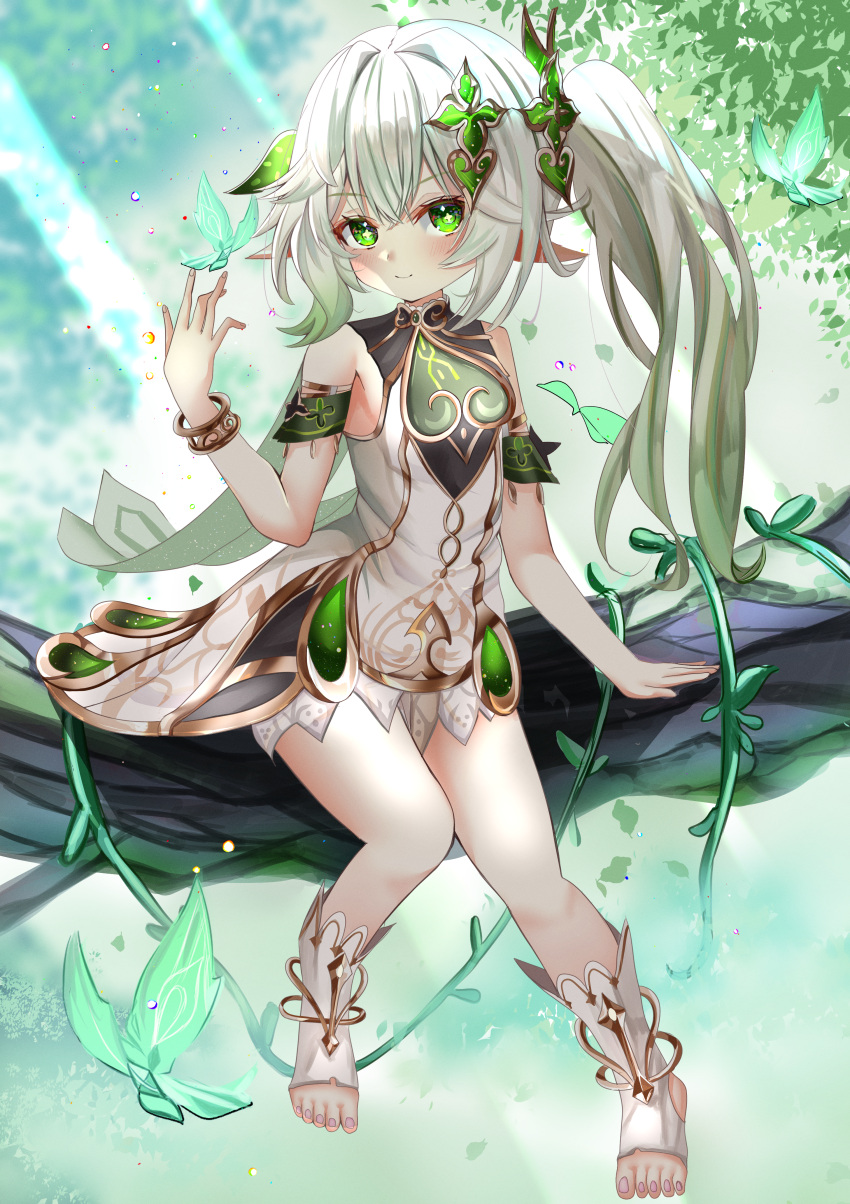 1girl absurdres bangs bracelet branch bug butterfly cape closed_mouth cross-shaped_pupils dress full_body genshin_impact green_cape green_eyes hair_ornament highres jewelry leaf_hair_ornament long_hair looking_at_viewer mitsu336 nahida_(genshin_impact) outdoors pointy_ears ponytail shoulder_cape sitting smile solo toeless_footwear white_dress white_hair