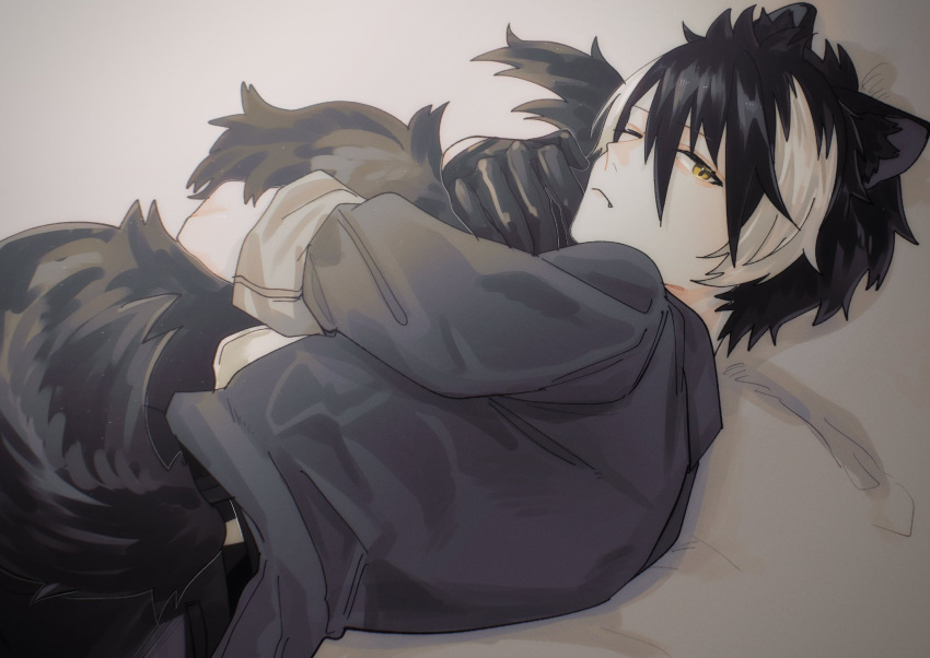 1boy ;&lt; animal_ears belt black_belt black_gloves black_hair fang from_behind gloves grey_shirt hair_between_eyes half_gloves highres holostars hugging_own_tail jackal_boy jackal_ears jackal_tail kageyama_shien looking_at_viewer looking_back lying male_focus momiage_40 multicolored_hair on_bed on_side one_eye_closed shirt short_hair sleeves_rolled_up solo tail two-tone_hair upper_body virtual_youtuber white_hair yellow_eyes