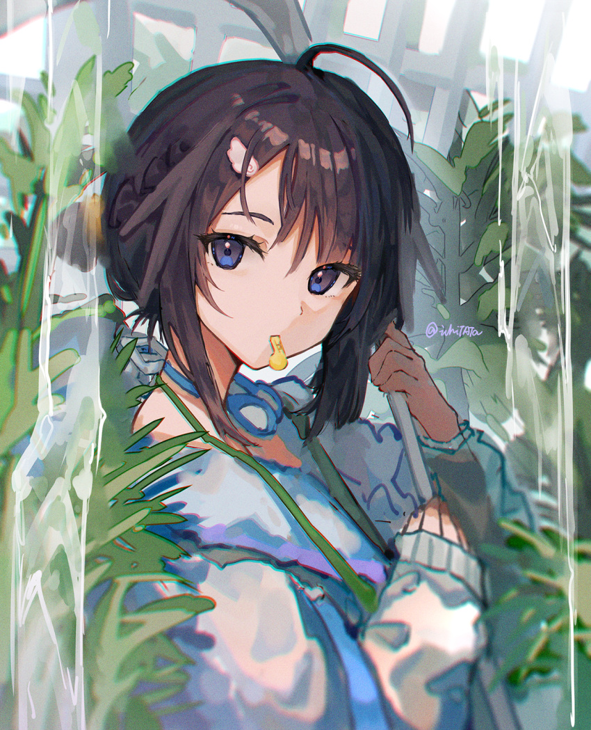 1girl ahoge arknights bangs black_hair blue_eyes from_side goggles goggles_on_head hair_bun highres holding ichita_(yixisama-shihaohaizhi) jumpsuit la_pluma_(arknights) la_pluma_(summer_flowers)_(arknights) long_sleeves looking_at_viewer looking_to_the_side mouth_hold official_alternate_costume plant short_hair single_hair_bun single_side_bun sleeves_past_wrists solo twitter_username upper_body water whistle white_jumpsuit wing_hair_ornament
