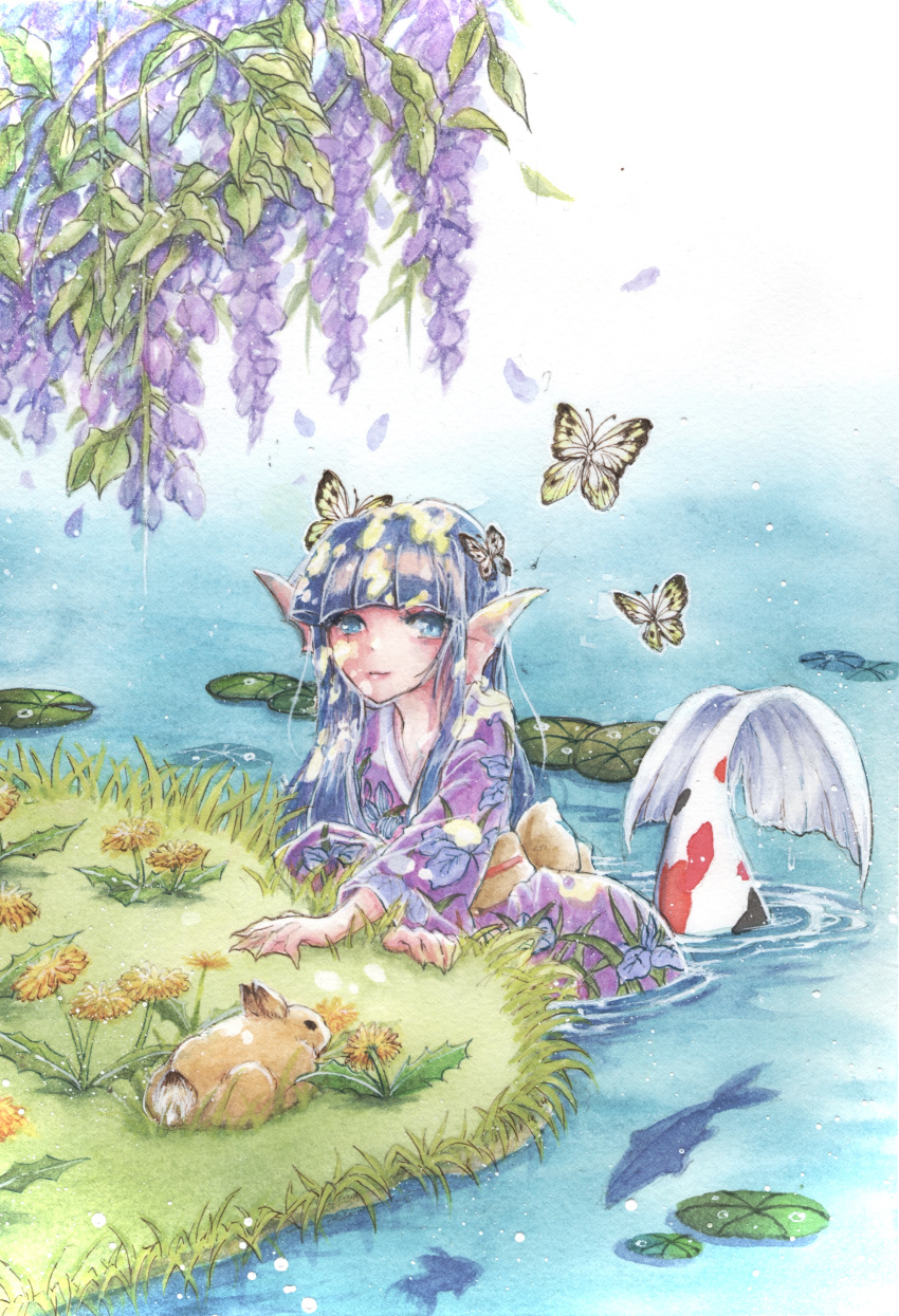 1girl absurdres bangs blue_hair blunt_bangs bug butterfly closed_mouth day fish floral_print flower flower_request head_fins highres japanese_clothes kimono long_sleeves looking_at_viewer mermaid monster_girl orange_flower original outdoors painting_(medium) petals print_kimono purple_flower purple_kimono rabbit solo tpamjdsta_(usatokurasu) traditional_media water watercolor_(medium) webbed_hands wisteria yellow_butterfly