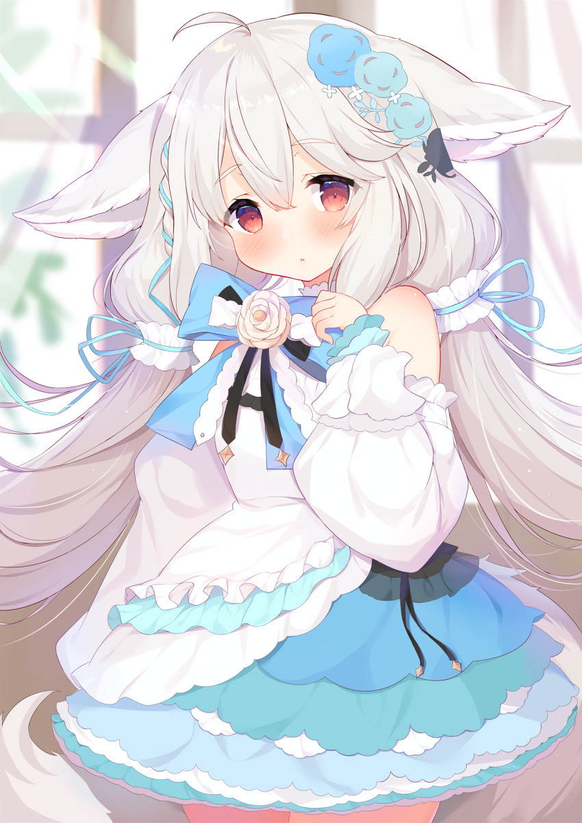 1girl :o ahoge animal_ear_fluff animal_ears bangs bare_shoulders blue_bow blue_skirt blurry blurry_background blush bow commentary_request depth_of_field flower grey_hair hair_between_eyes hand_up highres kagerou_(shadowmage) long_hair long_sleeves looking_at_viewer low_twintails original parted_lips puffy_long_sleeves puffy_sleeves red_eyes rose sakurada_shiro shirt skirt sleeves_past_wrists solo standing twintails very_long_hair white_flower white_rose white_shirt window