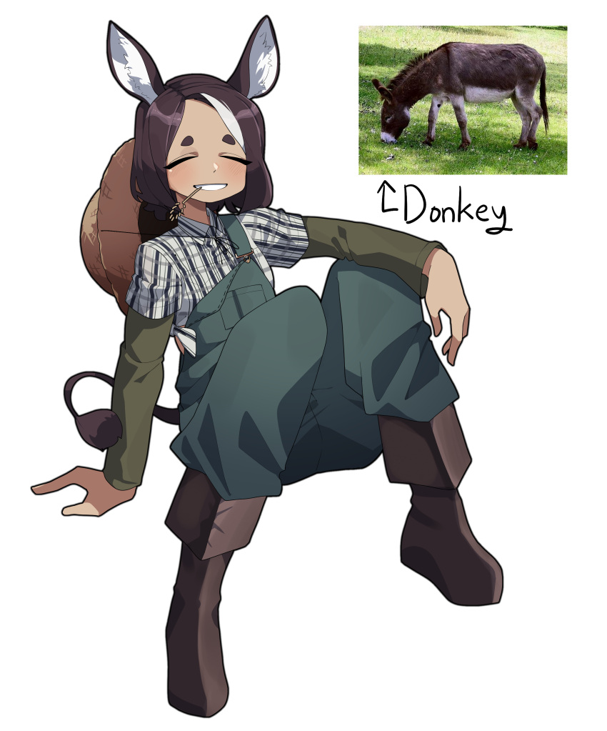 1girl absurdres animal blue_overalls boots brown_footwear brown_hair closed_eyes collared_shirt dark-skinned_female dark_skin donkey donkey_ears donkey_girl donkey_tail facing_viewer full_body gomulgong green_shirt grin hat hat_around_neck hat_removed headwear_removed highres knees_up long_sleeves mouth_hold multicolored_hair original overalls personification photo_inset plaid plaid_shirt reference_inset shirt short_eyebrows simple_background sitting smile solo stalk_in_mouth straw_hat streaked_hair two-tone_hair white_background white_hair white_shirt
