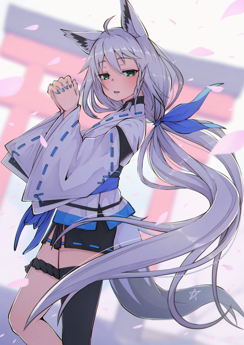 1girl absurdres ahoge animal_ear_fluff animal_ears bangs black_thighhighs blue_bow blue_nails blurry blurry_background blush bow braid commentary_request fox_ears fox_girl fox_tail green_eyes hair_between_eyes hair_bow highres hololive long_hair looking_at_viewer nemurimangetsu nontraditional_miko open_mouth own_hands_together pentagram petals shirakami_fubuki sidelocks single_braid single_thighhigh solo tail thigh-highs thigh_strap torii very_long_hair virtual_youtuber white_hair