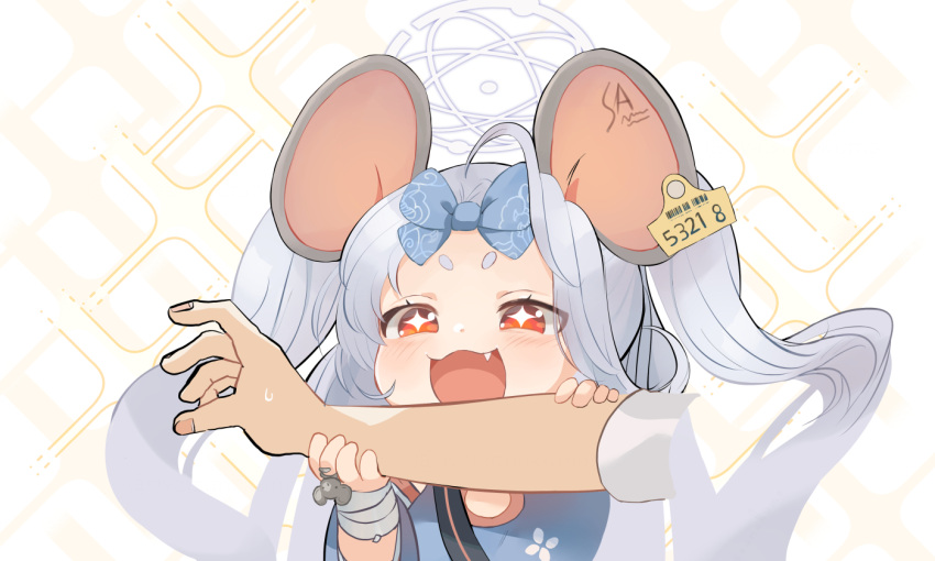 +_+ 1boy 1girl :3 animal_ears bandaged_arm bandages blue_archive blue_bow blush bow ear_tag fang grey_hair hair_bow halo imminent_bite long_hair mouse mouse_ears mouse_girl open_mouth oyatsunokumo red_eyes saya_(blue_archive) sensei_(blue_archive) simple_background sweat two_side_up upper_body