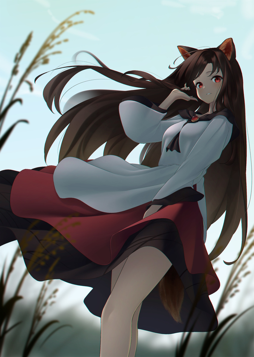 1girl animal_ears bangs bare_legs between_breasts black_hair black_skirt blurry blurry_background blurry_foreground breasts brooch brown_hair clouds cowboy_shot dress feet_out_of_frame field floating_hair from_below highres imaizumi_kagerou jewelry kanpa_(campagne_9) layered_dress long_hair long_sleeves looking_at_viewer monster_girl outdoors parted_lips plant red_eyes red_skirt ruffling_hair skirt sky small_breasts solo swept_bangs tail touhou very_long_hair white_dress wide_sleeves wolf_ears wolf_tail