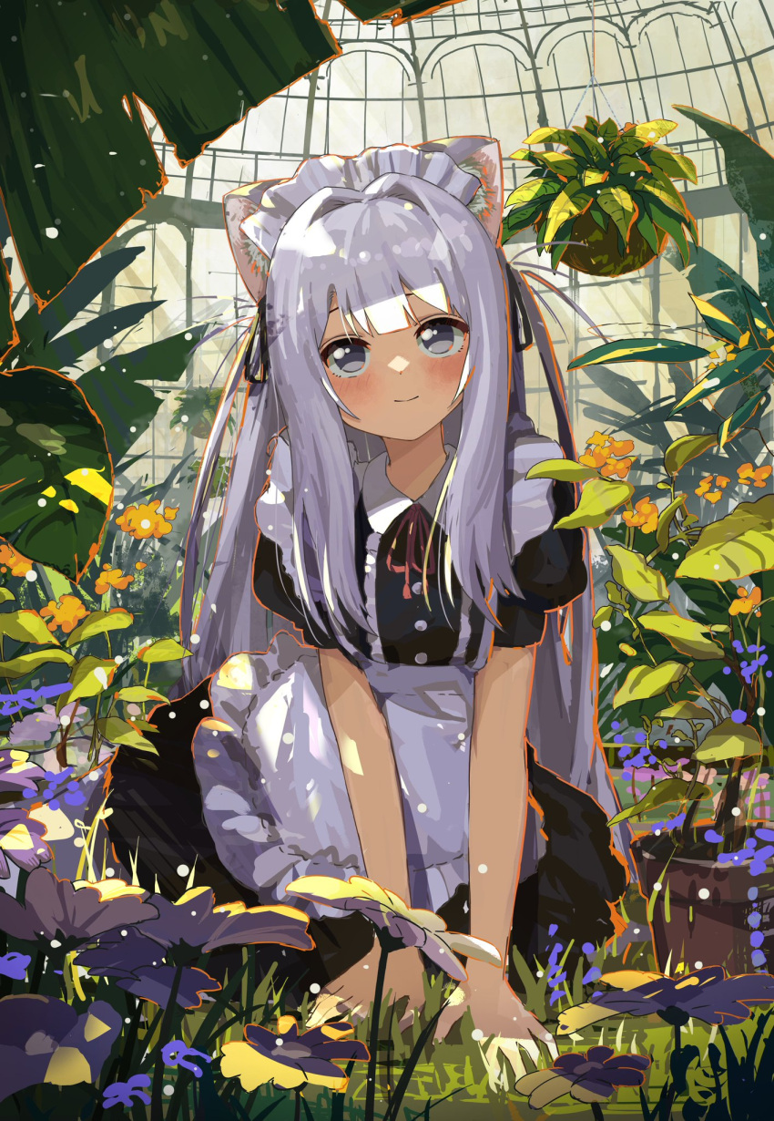 1girl animal_ear_fluff animal_ears apron bangs black_dress black_ribbon blush closed_mouth collared_dress commentary_request day dress eyebrows_hidden_by_hair flower flower_pot frilled_apron frills grey_eyes grey_hair hair_ribbon highres indoors kgt_(pixiv12957613) leaf neck_ribbon orange_flower original plant puffy_short_sleeves puffy_sleeves purple_flower red_ribbon ribbon short_sleeves smile solo two_side_up white_apron yellow_flower