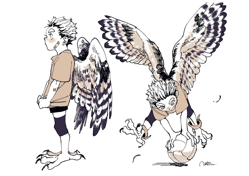 1boy akaashi_keiji animal_feet anklet artist_name ball bandaid bandaid_on_cheek bandaid_on_face bird_legs bird_wings brown_eyes brown_shirt child closed_mouth feathered_wings flying full_body haikyuu!! harpy_boy holding holding_ball jewelry looking_at_object looking_down looking_to_the_side male_focus monochrome monster_boy monsterification multiple_views natsu_(rodysanp) shirt short_hair short_sleeves shorts signature simple_background standing talons very_short_hair volleyball white_background wings