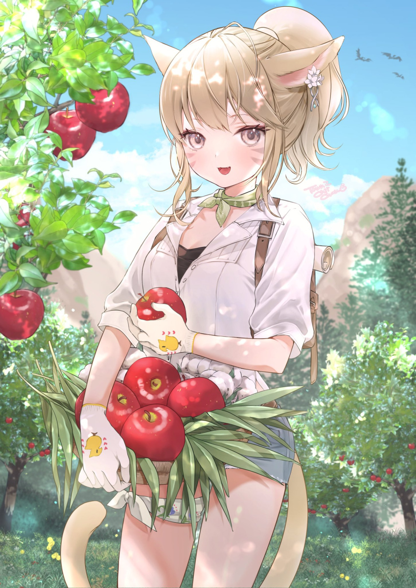 1girl :d animal_ears apple apple_tree avatar_(ff14) backpack bag basket belt blonde_hair breasts cat_ears cat_girl cat_tail chii_(pixiv20756878) day denim denim_shorts facial_mark fang final_fantasy final_fantasy_xiv flower food fruit gloves grass highres holding holding_food holding_fruit jacket medium_breasts medium_hair miqo'te outdoors partially_unbuttoned ponytail short_shorts shorts smile tail tree whisker_markings white_jacket