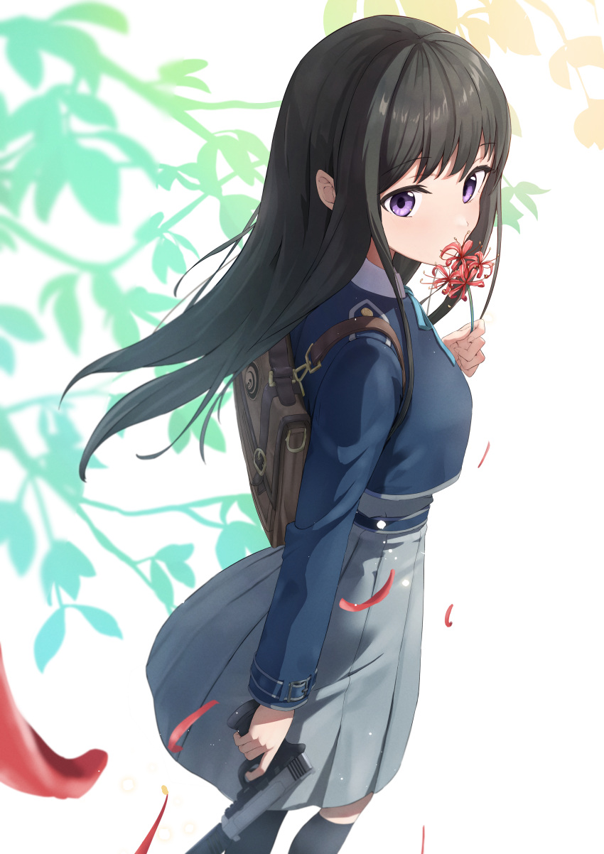 1girl absurdres backpack bag bangs belt black_hair black_socks blue_belt blue_jacket breasts commentary_request covered_mouth dress falling_petals flower grey_dress gun hand_up handgun highres holding holding_flower holding_gun holding_weapon inoue_takina jacket long_hair long_sleeves lycoris_recoil lycoris_uniform medium_breasts mimi_(mimi_ganbaruzo) neck_ribbon petals pleated_dress ribbon s&amp;w_m&amp;p school_bag school_uniform sidelocks socks solo spider_lily violet_eyes weapon white_background