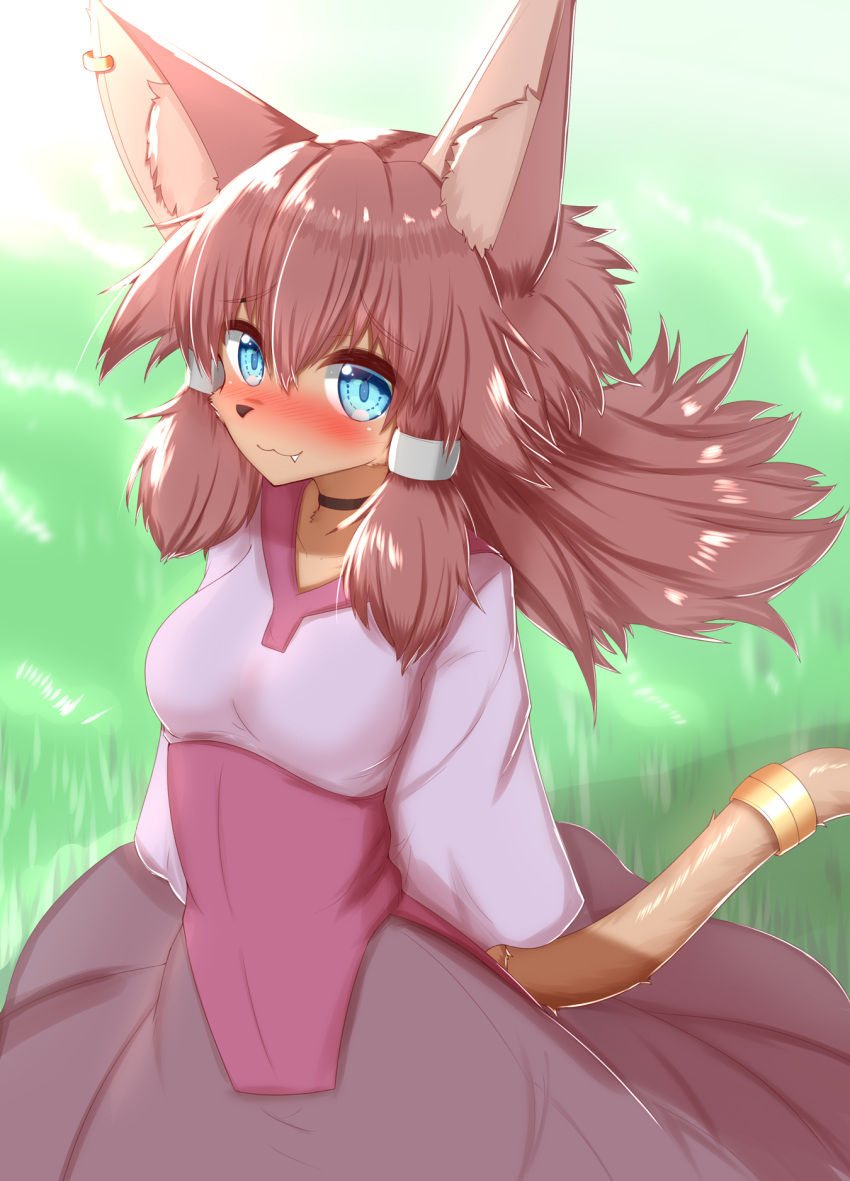 1girl animal_ear_fluff animal_ears bangs blue_eyes blush body_fur breasts brown_fur brown_hair brown_skirt fang fang_out floating_hair furry furry_female grass gundam gundam_build_divers gundam_build_divers_re:rise highres horokusa_(korai) long_hair looking_at_viewer looking_up maiya_(gundam_build_divers_re:rise) medium_breasts pink_shirt shirt sidelocks skirt smile solo tail