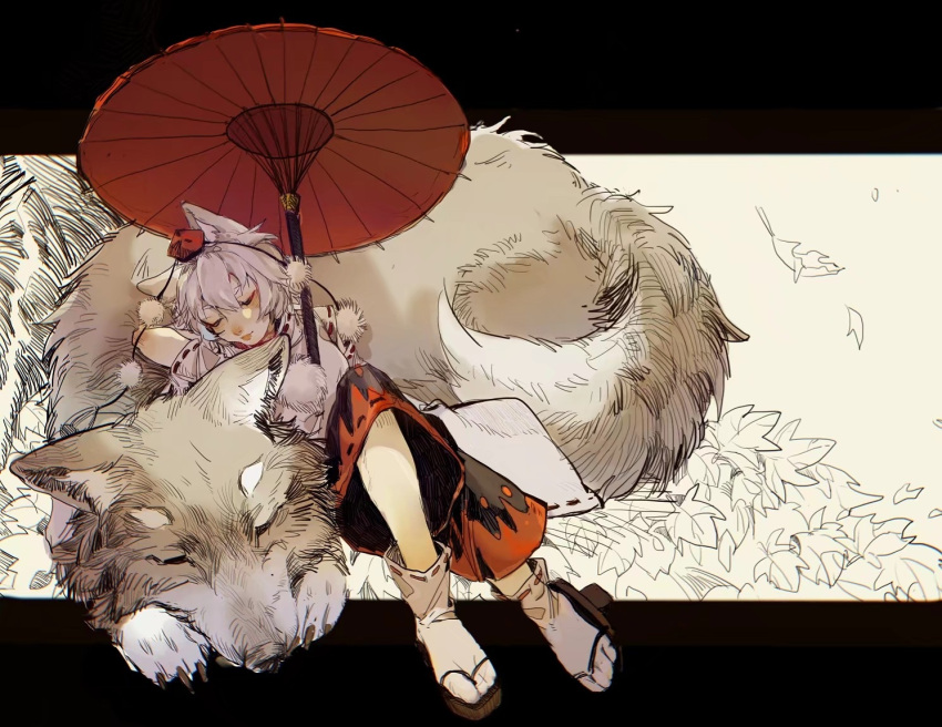 1girl animal animal_ears arm_behind_head black_footwear black_skirt blush chinese_commentary claws closed_eyes closed_mouth commentary_request detached_sleeves falling_leaves full_body geta hat inubashiri_momiji leaf letterboxed lips oil-paper_umbrella oversized_animal pom_pom_(clothes) red_headwear ribbon-trimmed_sleeves ribbon_trim shirt short_hair skirt sleeping sleeveless sleeveless_shirt socks solo tengu-geta tokin_hat touhou umbrella white_hair white_shirt white_sleeves white_socks wide_sleeves wolf wolf_ears wolf_girl wushi_datoucai