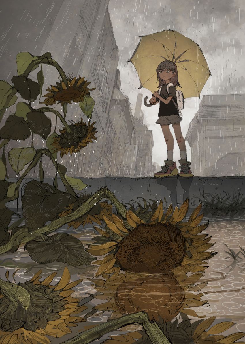 1girl black_shirt brown_eyes brown_hair building closed_mouth clouds cloudy_sky demizu_posuka flower highres holding holding_umbrella kneehighs medium_hair original puddle rain shirt shoes shorts sky sneakers socks solo sunflower umbrella wet