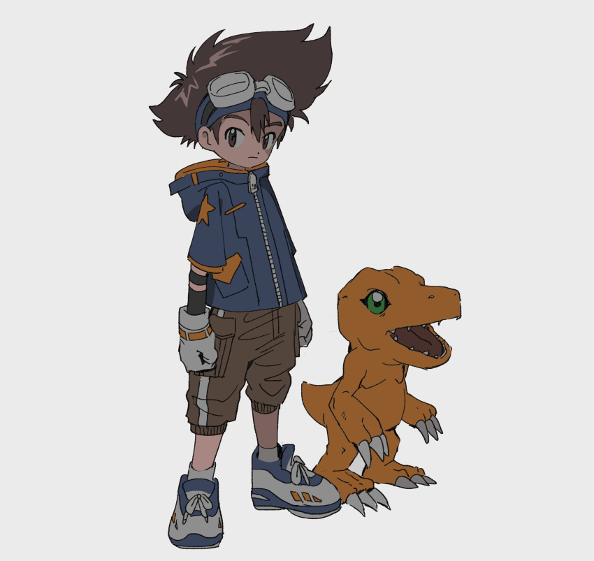 agumon blue_jacket brown_eyes brown_hair child closed_mouth digimon digimon_(creature) digimon_adventure fangs gloves goggles goggles_on_head green_eyes highres jacket shorts simple_background star_(symbol) tantanmen white_background white_gloves yagami_taichi