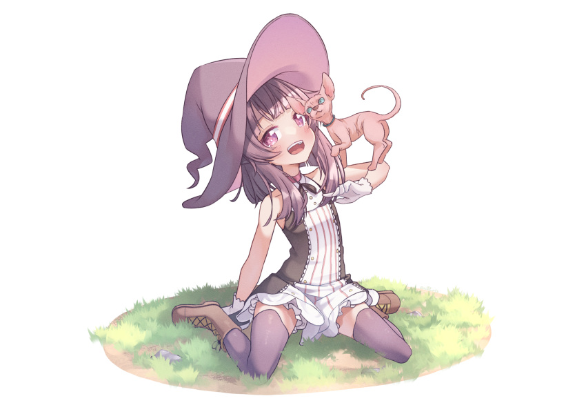 1girl bangs black_ribbon boots brown_footwear cat cosplay dress english_commentary fallenshadow gloves grass hairless_cat hat head_tilt highres indie_virtual_youtuber little_witch_nobeta looking_at_viewer medium_hair neck_ribbon nobeta nobeta_(cosplay) open_mouth outdoors purple_hair purple_headwear purple_thighhighs renpc ribbon sidelocks sitting sleeveless sleeveless_dress smile solo thigh-highs violet_eyes virtual_youtuber wariza white_gloves witch_hat