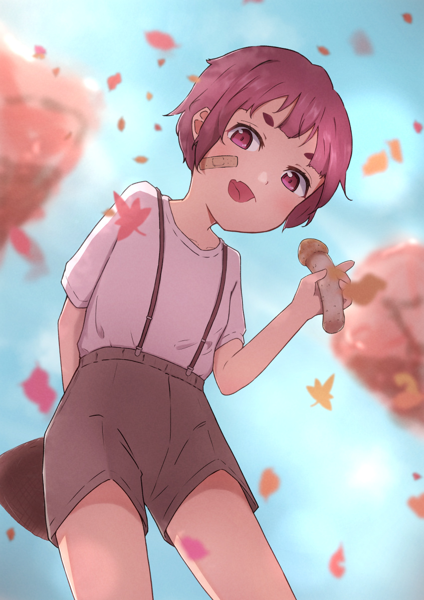 absurdres autumn autumn_leaves brown_shorts falling_leaves fang hatsushiro-hinoe highres holding holding_mushroom leaf looking_at_viewer looking_down mushroom original pink_eyes pink_hair shirt short_hair shorts skin_fang tomboy white_shirt