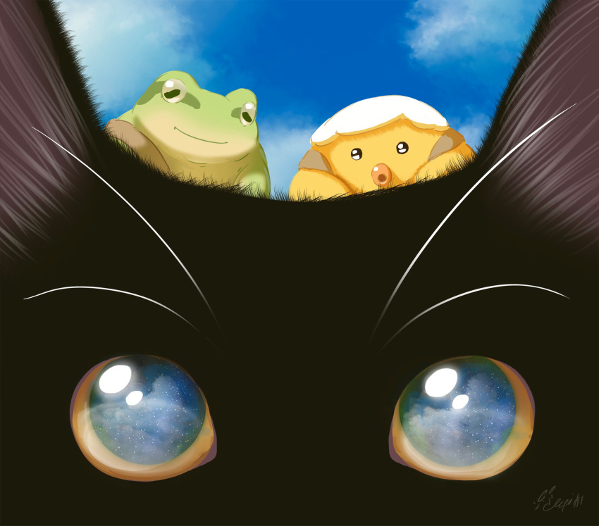 animal_focus black_cat black_fur blue_sky cat fantasy frog hachiya_shohei highres no_humans original scenery sky yellow_eyes