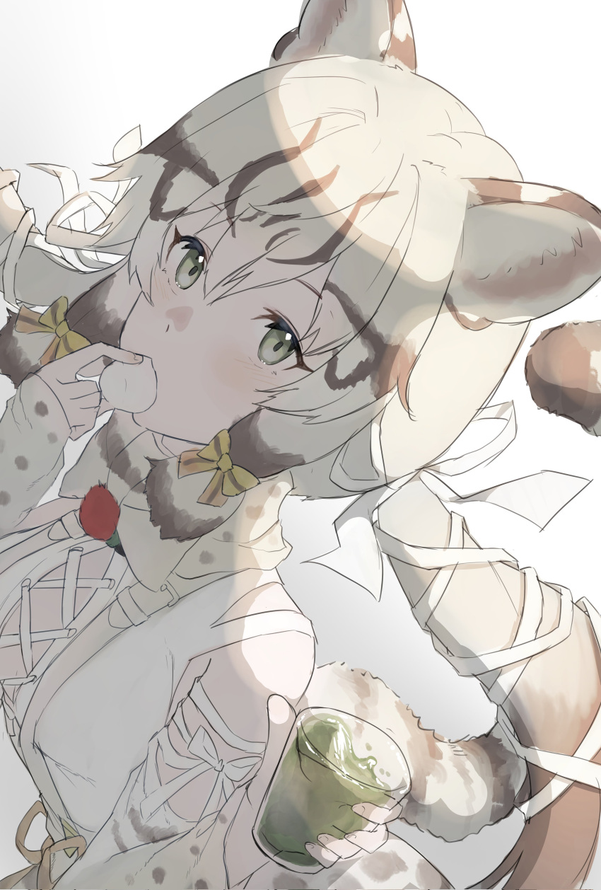 1girl absurdres animal_costume animal_ear_fluff animal_ears bow bowtie cat_ears cat_girl cat_tail drink eating geoffroy's_cat_(kemono_friends) green_eyes grey_hair highres kemono_friends kemono_friends_v_project long_hair looking_at_viewer microphone ribbon shimahai_love shirt simple_background skirt solo tail twintails virtual_youtuber